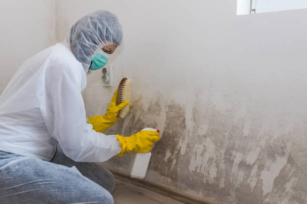 Best Industrial Mold Remediation  in Orchard Homes, MT