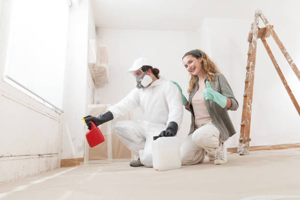 Environmental Consulting for Mold Prevention in Orchard Homes, MT